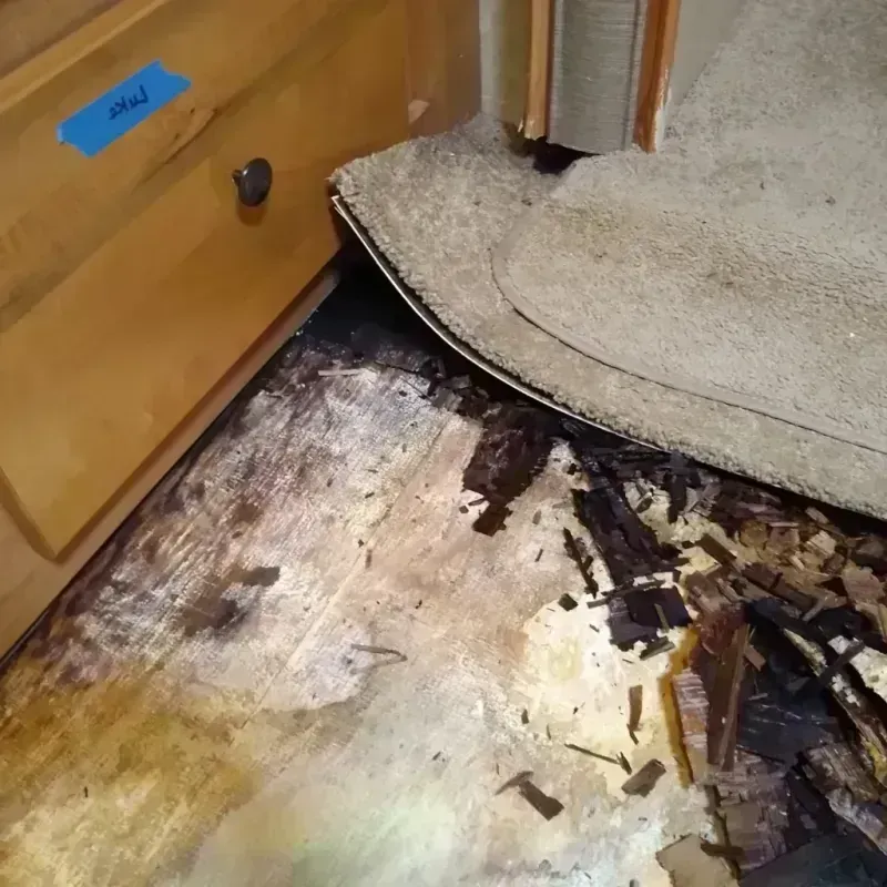 Wood Floor Water Damage in Big Sky, MT